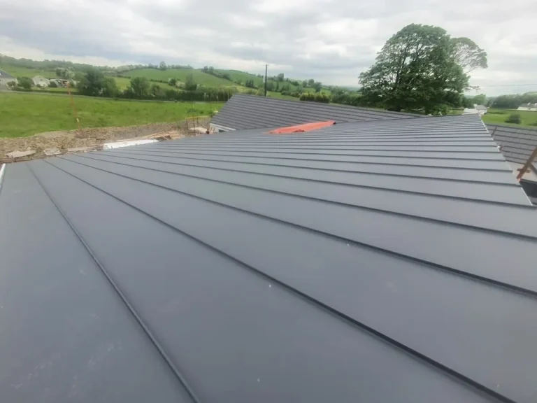 Standing seam metal roof Cavan